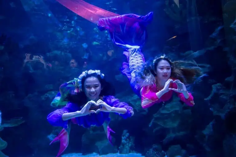 aquaria klcc mermaid show